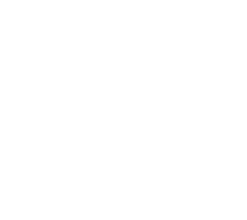 Green Paper